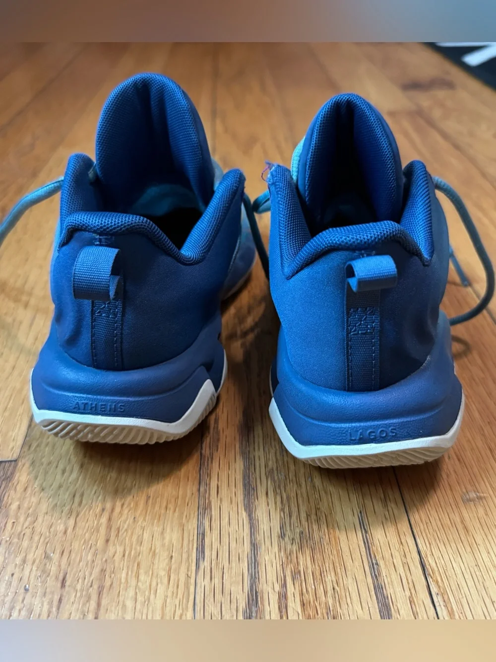 Kids Giannis Nike Blue basketball shoes